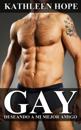 Gay: Deseando a mi mejor amigo