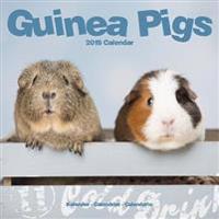 Guinea Pigs Calendar 2018