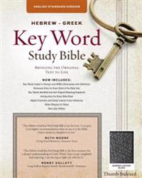 The Hebrew-Greek Key Word Study Bible: ESV Edition, Black Bonded Leather Thumb Indexed
