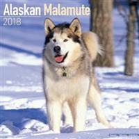 Alaskan Malamute Calendar 2018
