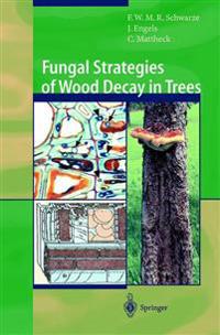 Fungal Strategies of Wood Decay in Trees