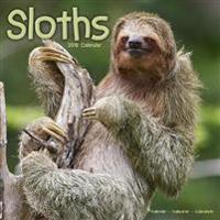 Sloths Calendar 2018