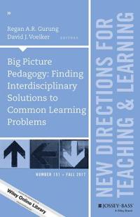 Big Picture Pedagogy: Finding Interdisciplinary Solutions to Common Learning Problems