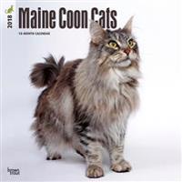 2018 Maine Coon Cats Wall Calendar