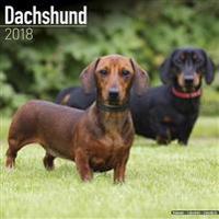 Dachshund Calendar 2018