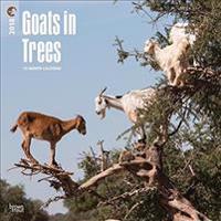 2018 Goats in Trees Wall Calendar