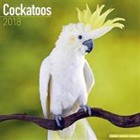 Cockatoos Calendar 2018