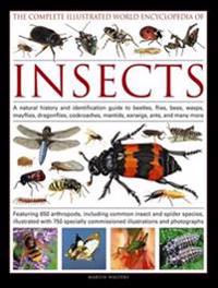 The Complete Illustrated World Encyclopedia of Insects: A Natural History and Identification Guide to Beetles, Flies, Bees, Wasps, Mayflies, Dragonfli