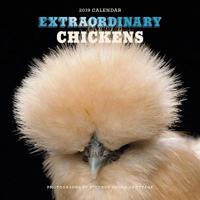 Extraordinary Chickens 2019 Calendar