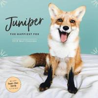 Juniper - The Happiest Fox 2019 Calendar
