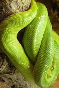 Green Tree Python Curled Up in a Tree Journal: Take Notes, Write Down Memories in This 150 Page Lined Journal