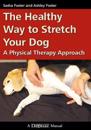 The Healthy Way to Stretch Your Dog: A Physical Therapy Approach