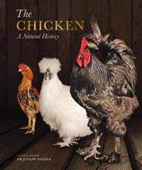 Chicken - a natural history