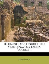 Illuminerade Figurer Till Skandinavens Fauna, Volume 1