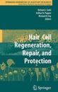 Hair Cell Regeneration, Repair, and Protection