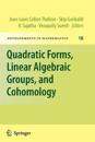 Quadratic Forms, Linear Algebraic Groups, and Cohomology