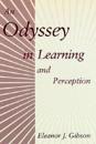 An Odyssey in Learning and Perception