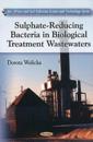 Sulphate-Reducing Bacteria in Biological Treatment Wastewaters