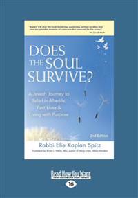 Does the Soul Survive?: A Jewish Journey to Belief in Afterlife, Past Lives & Living with Purpose - 2nd Edition (Large Print 16pt)