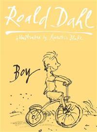 Boy: Tales Of Childhood: Autobiography