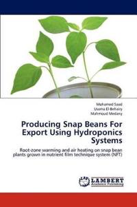 Producing Snap Beans For Export Using Hydroponics Systems
