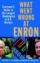 What Went Wrong at Enron: Everyone's Guide to the Largest Bankruptcy in U.S
