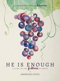 He Is Enough: Living in the Fullness of Jesus (a Study in Colossians)