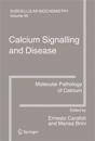 Calcium Signalling and Disease