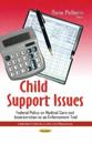 Child Support Issues