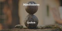Mindfulness Meditation ? Meditera bort din stress