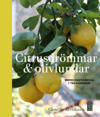 Citrusdrömmar & olivlundar : Medelhavskänsla i trädgården