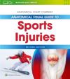 Anatomical Visual Guide to Sport Injuries