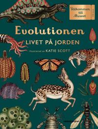 Evolutionen : livet på jorden