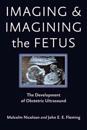 Imaging and Imagining the Fetus