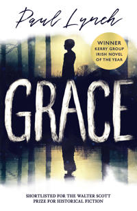 Grace: Winner of the Kerry Group Irish Novel of the Year