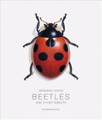 Beetles and Other Insects