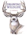 Drawing Wildlife