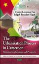 Urbanisation Process in Cameroon