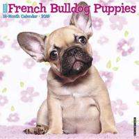 French Bulldog Puppies 2019 Wall Calendar (Dog Breed Calendar)