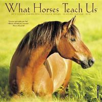 What Horses Teach Us 2019 Calendar