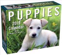 Puppies 2019 Mini Day-to-Day Calendar