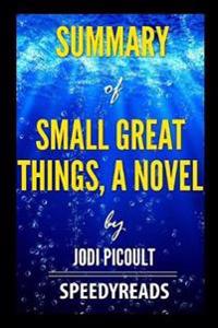 Summary of Small Great Things, a Novel by Jodi Picoult - Finish Entire Novel in 15 Minutes