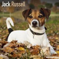Jack Russell Calendar 2019