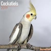 Cockatiels calendar 2019