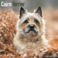 Cairn terrier calendar 2019