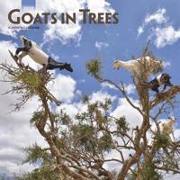 Goats in Trees 2019 Square Wall Calendar