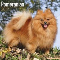 Pomeranian calendar 2019