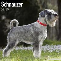 Schnauzer calendar 2019