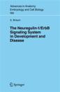 The Neuregulin-I/ErbB Signaling System in Development and Disease