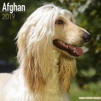 Afghan calendar 2019